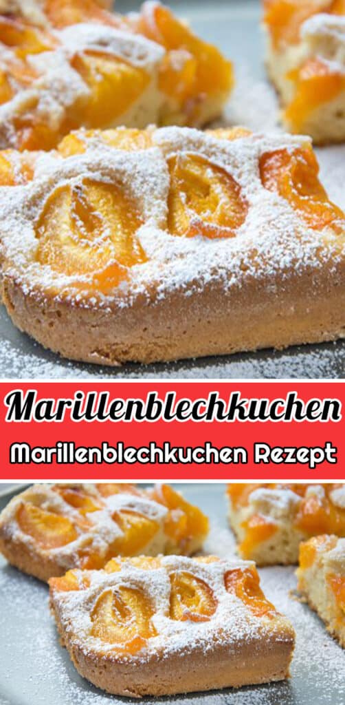 Marillenblechkuchen Rezept - Schnelle Einfache Marillenkuchen Rezepte