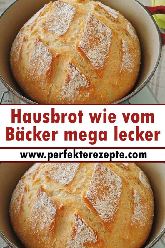 Hausbrot wie vom Bäcker mega lecker und sehr lufti - Schnelle und ...