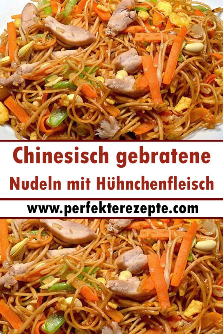 Chinesisch gebratene Nudeln mit Hühnchenfleisch Ei und Gemüse Rezept Schnelle und Einfache