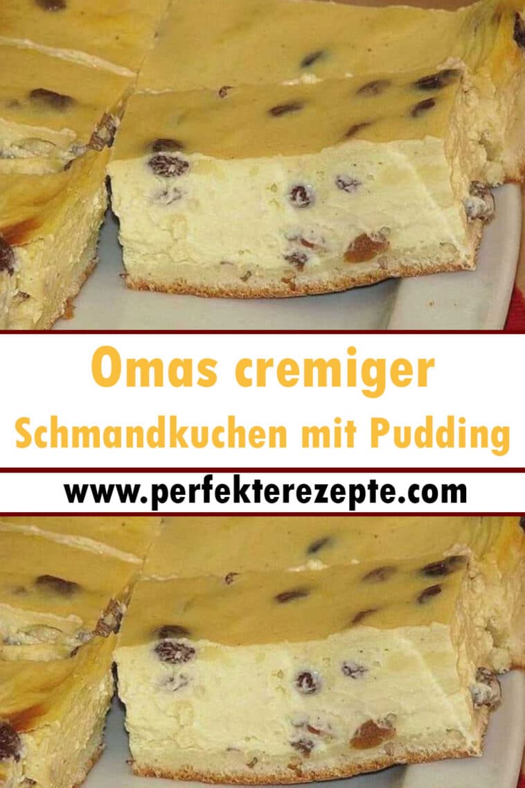 Omas cremiger Schmandkuchen mit Pudding Rezept - Schnelle und Einfache ...