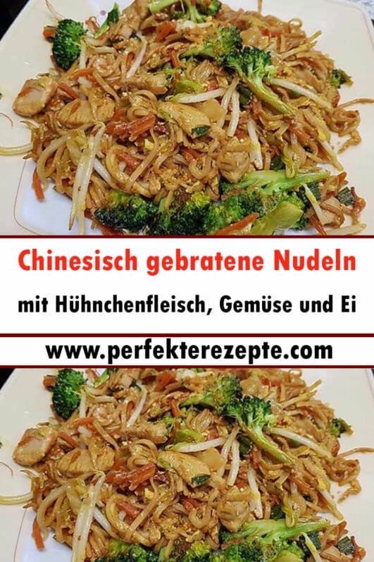 Chinesisch Gebratene Nudeln Mit Hühnchenfleisch, Gemüse Und Ei Rezept ...