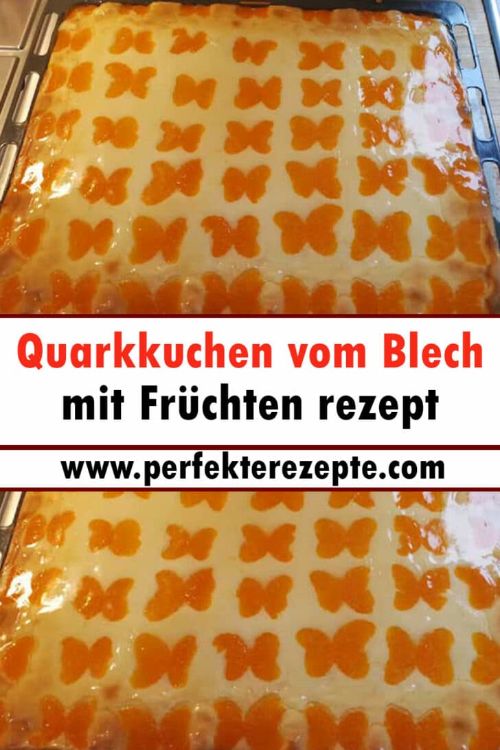 Quarkkuchen vom Blech mit Früchten rezept - Schnelle und Einfache Rezepte