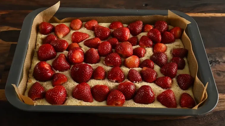 Erdbeer Blechkuchen Rezept